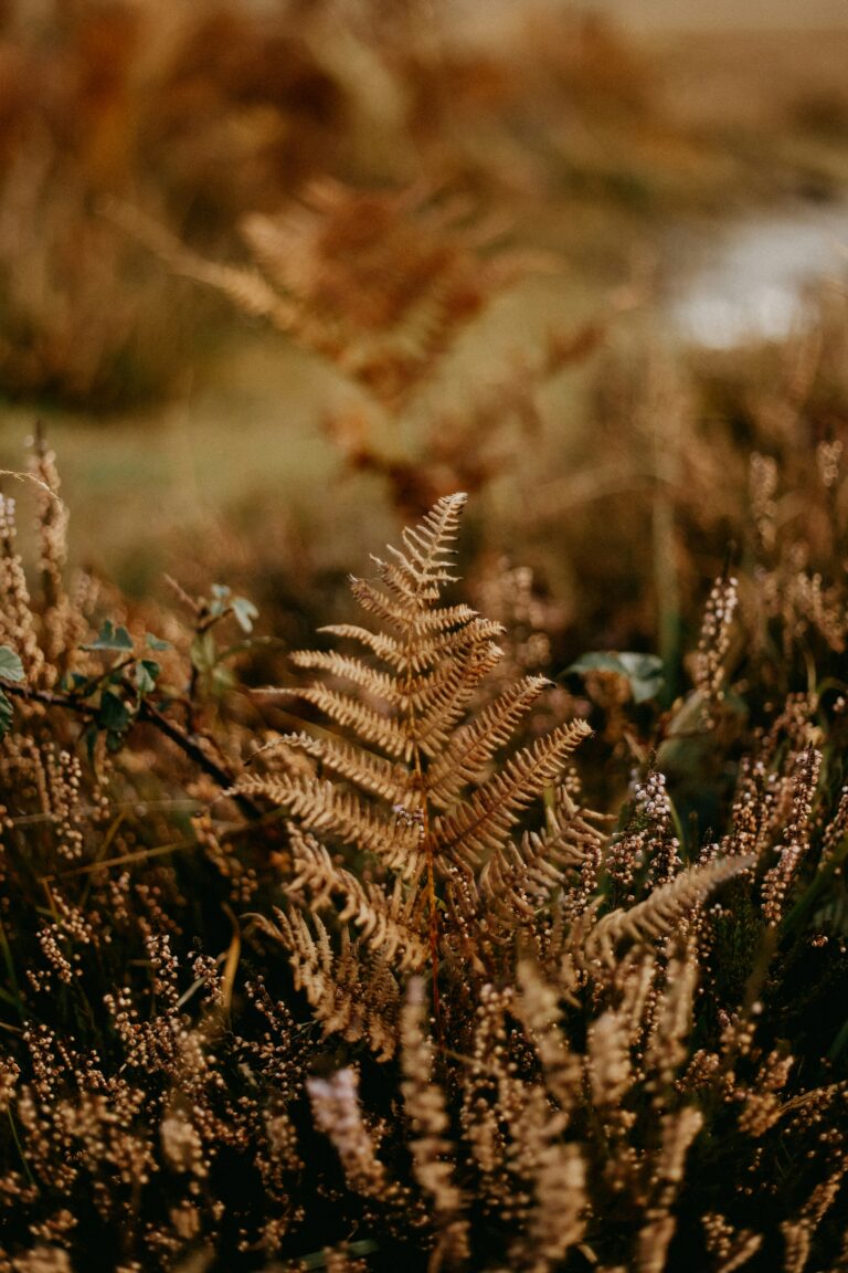 L'inaptitude désigne la situation où une personne n'est plus en mesure d'accomplir certaines tâches ou de prendre des décisions, notamment en raison de problèmes de santé physique ou mentale. En droit, cela peut concerner la gestion de ses biens ou la prise de décisions personnelles. Lorsqu'une personne est déclarée inapte, un processus légal peut être déclenché pour nommer un tuteur ou un curateur afin de prendre en charge ses affaires. L'inaptitude peut être temporaire ou permanente, et nécessite généralement une évaluation médicale et juridique pour être reconnue officiellement.